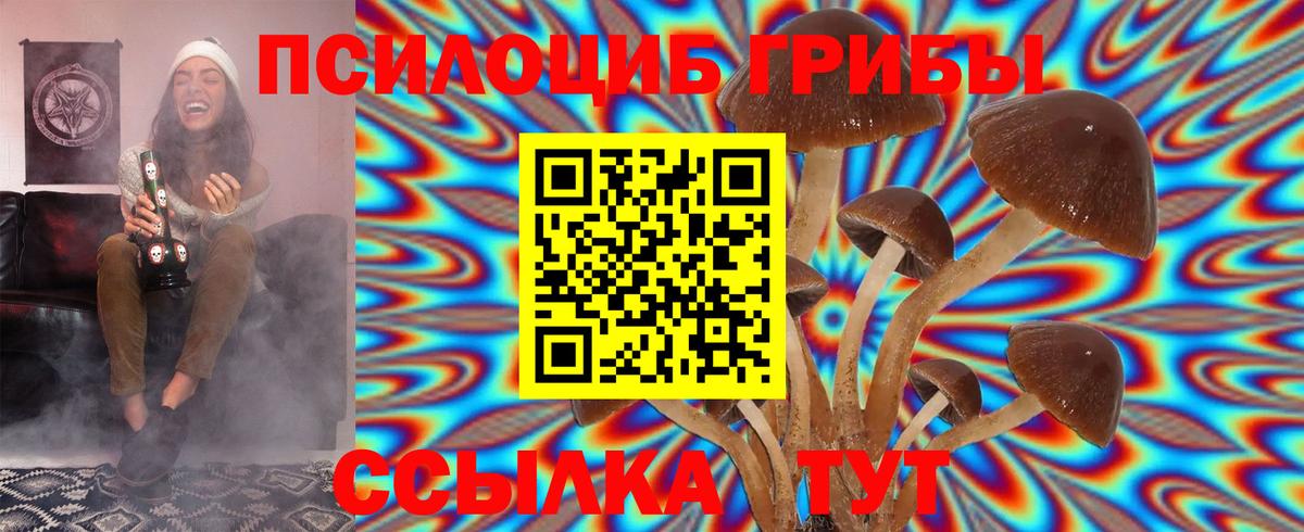 Бошки Шишки Партизанск
