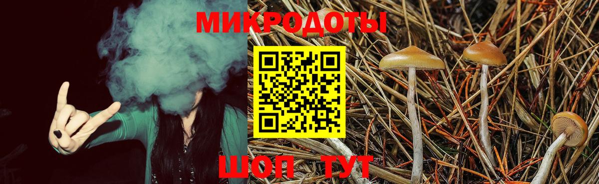 Партизанск  Галлюциногенные грибы мицелий  Вход с VPN 